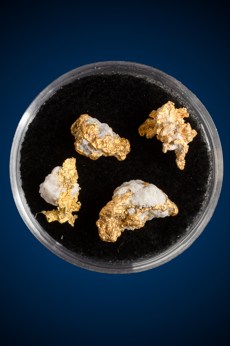 (image for) Four Gold in Quartz Specimens - Alleghany District, CA - 3.99 grams